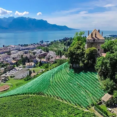 Brilliant Apartment In Chateau Du Chatelard Montreux Exterior foto