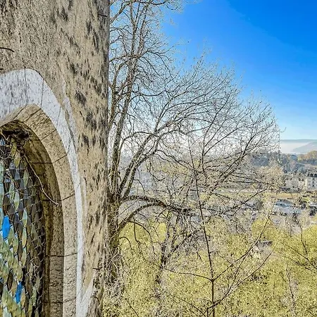 Brilliant Apartment In Chateau Du Chatelard Montreux Exterior foto