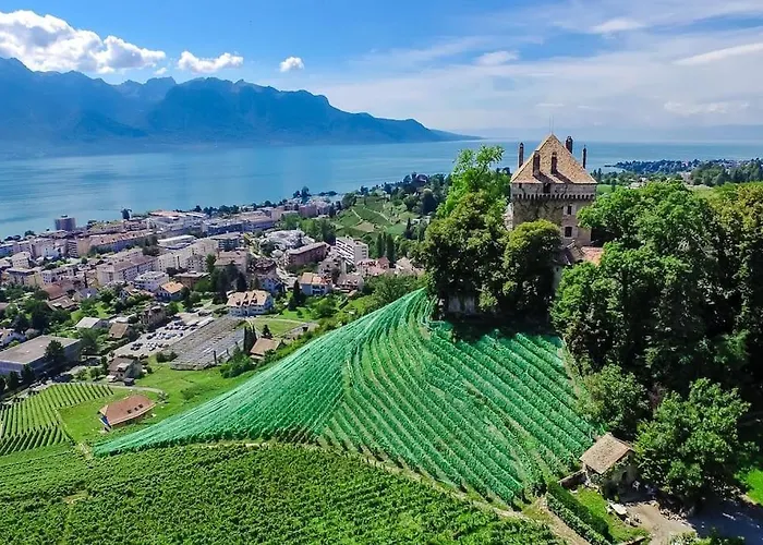Brilliant Apartment In Chateau Du Chatelard
